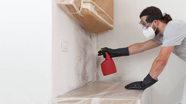 Professional Attic Mold Removal technician working in Elmont, NY